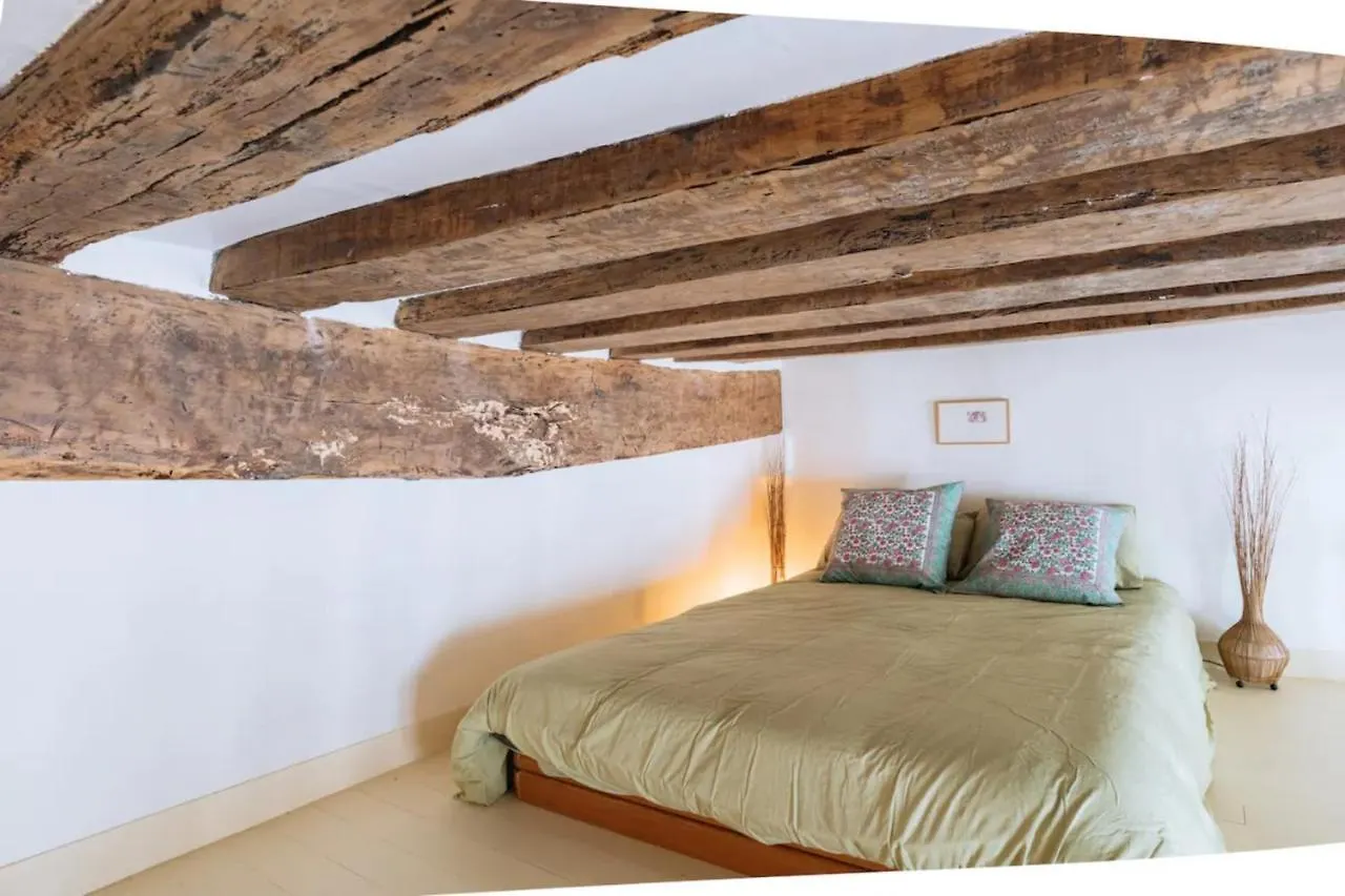Beautiful Central Duplex - Latin Quarter Paris 0*,