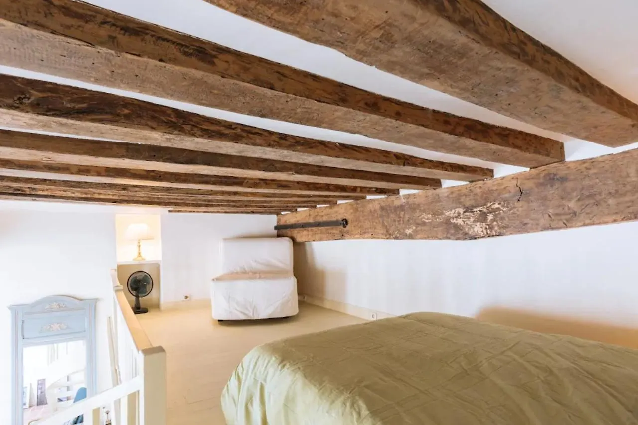 Beautiful Central Duplex - Latin Quarter Paris